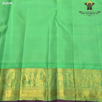 A rich Rani pink (magenta) body decorated with elegant Saree
