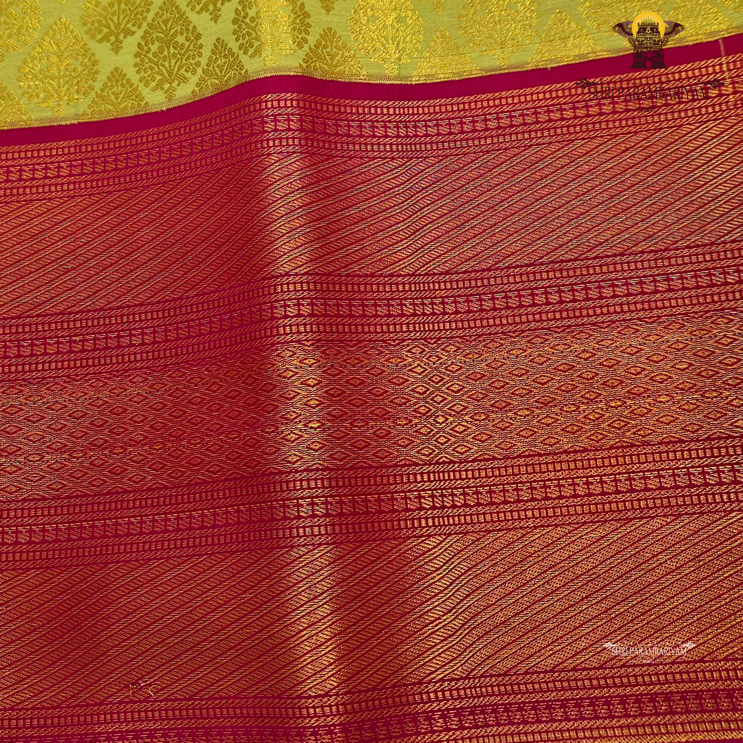 Olive green / mustard green Saree