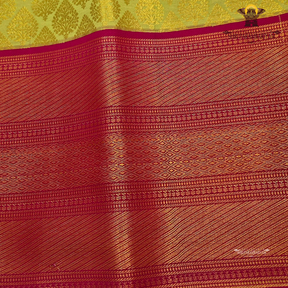 Olive green / mustard green Saree