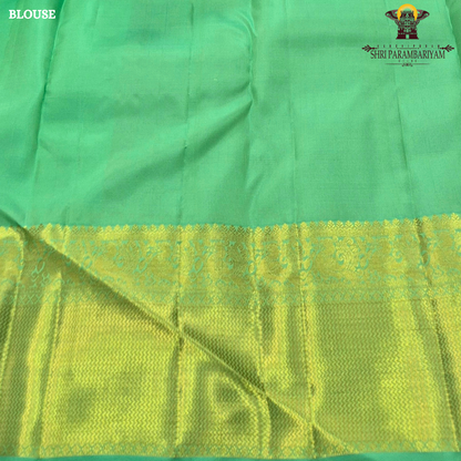 Refreshing parrot green shade Saree