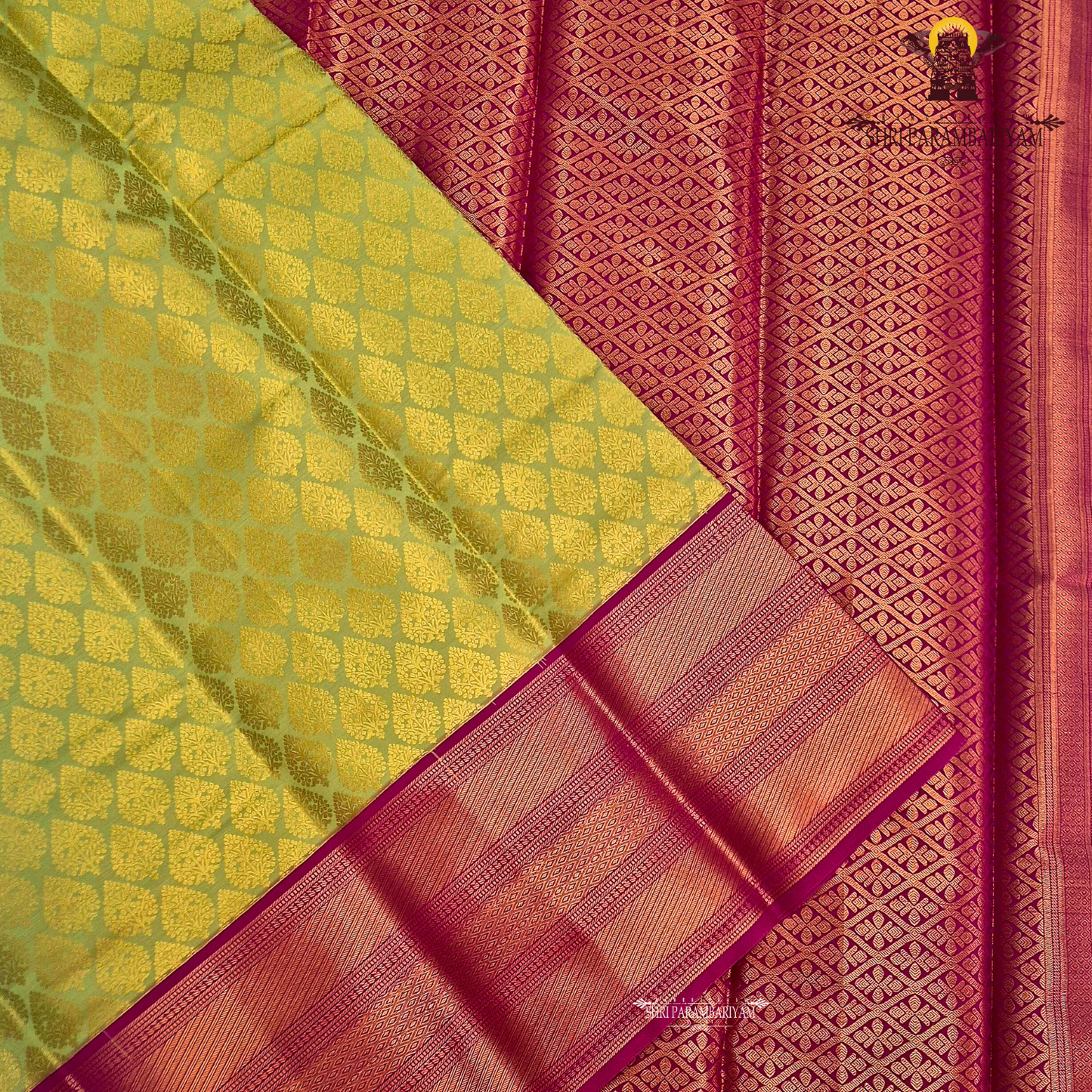 Olive green / mustard green Saree