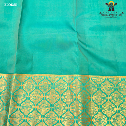 Teal green / sea green Saree