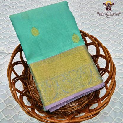 Aqua blue (sea green) shade Saree