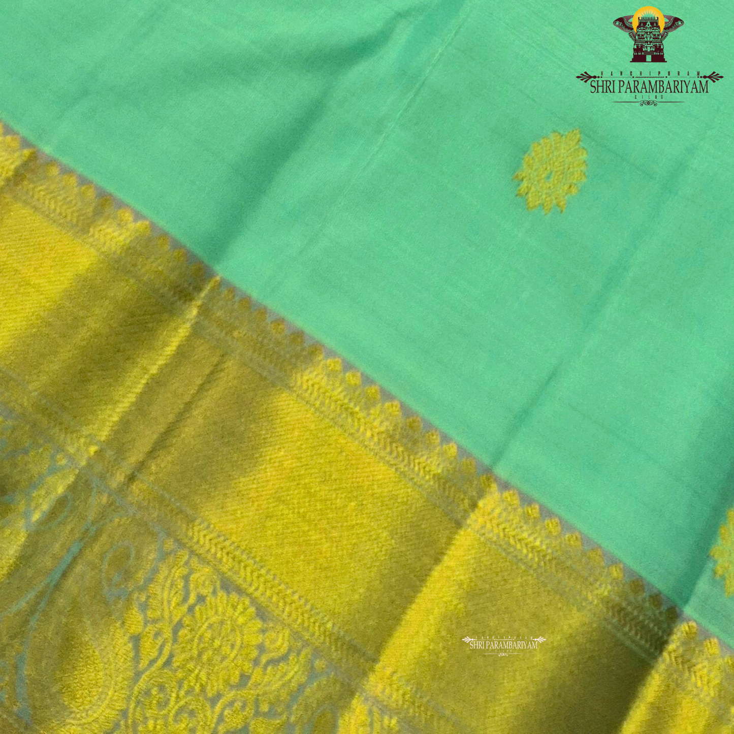 Aqua blue (sea green) shade Saree