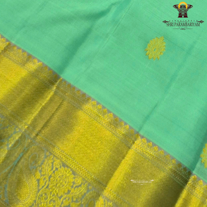 Aqua blue (sea green) shade Saree