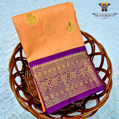 A soft and graceful peach body highlighted with traditional Saree