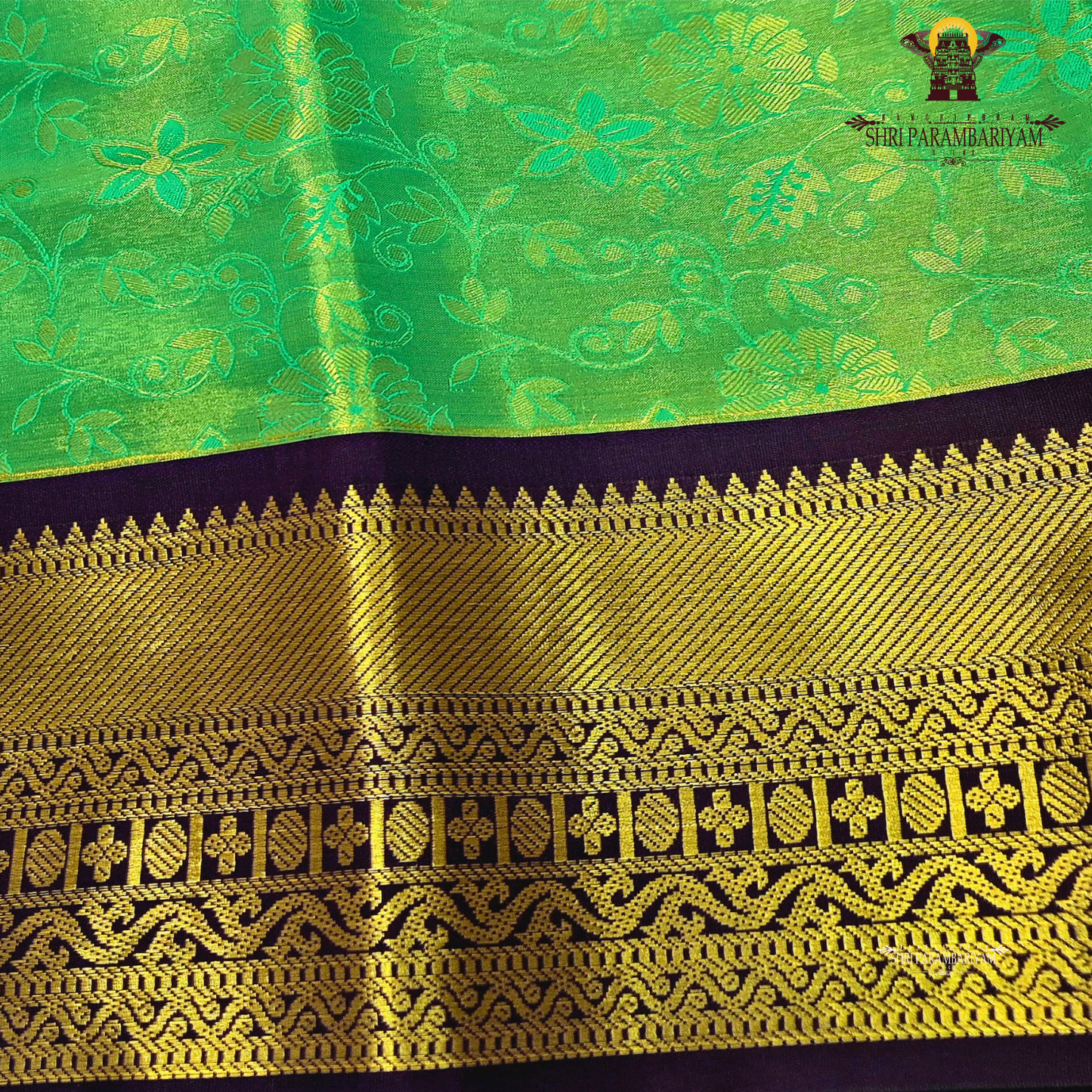 Soft turquoise green / sea green Saree