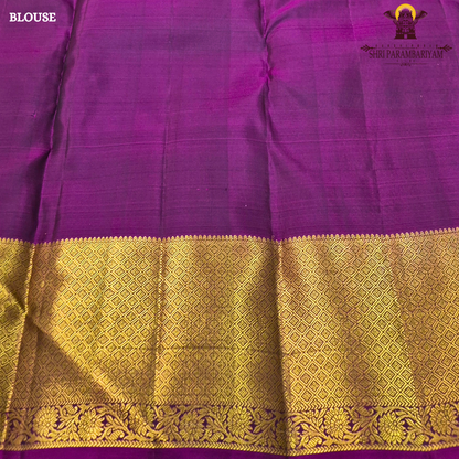Teal blue (a rich greenish-blue shade) Saree