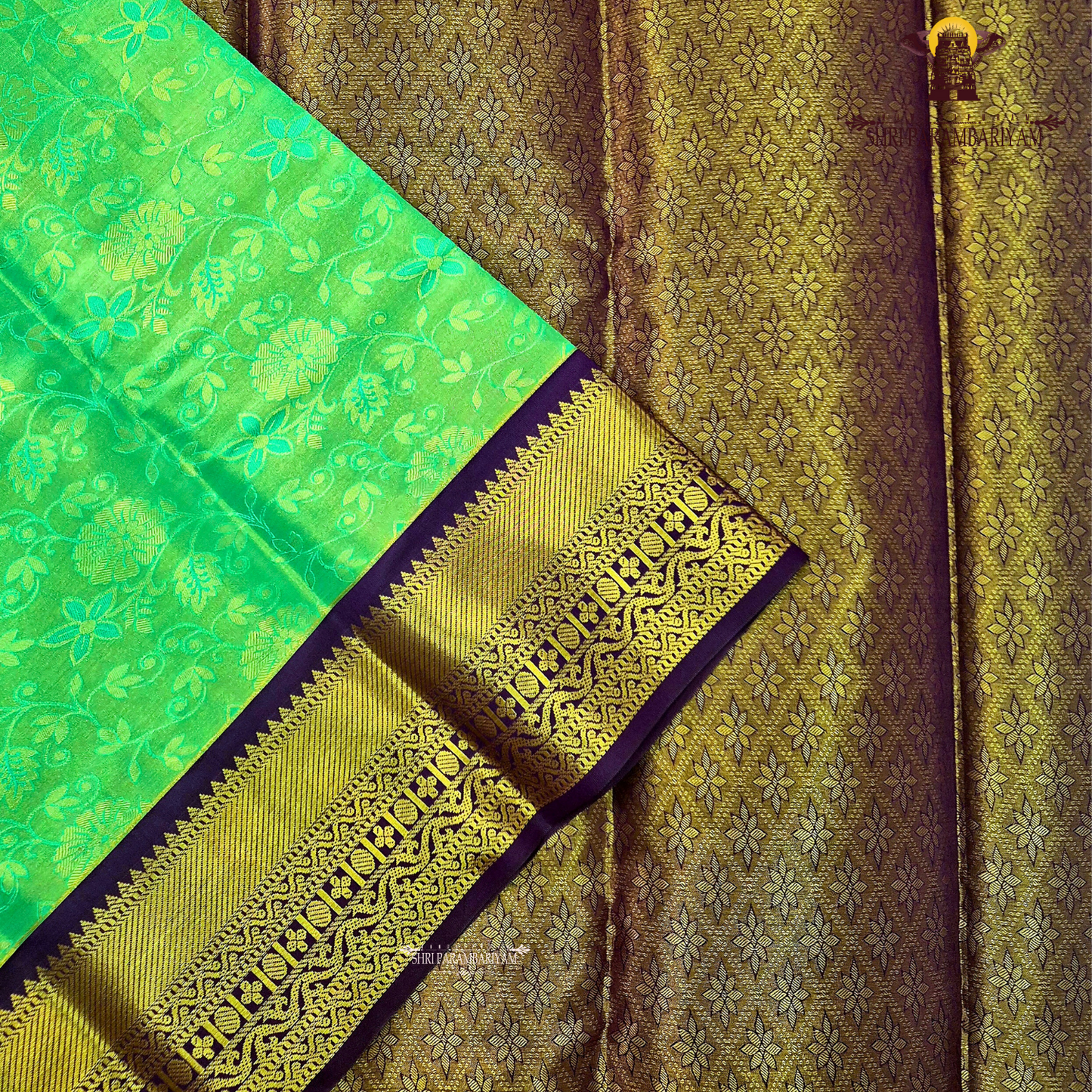 Soft turquoise green / sea green Saree