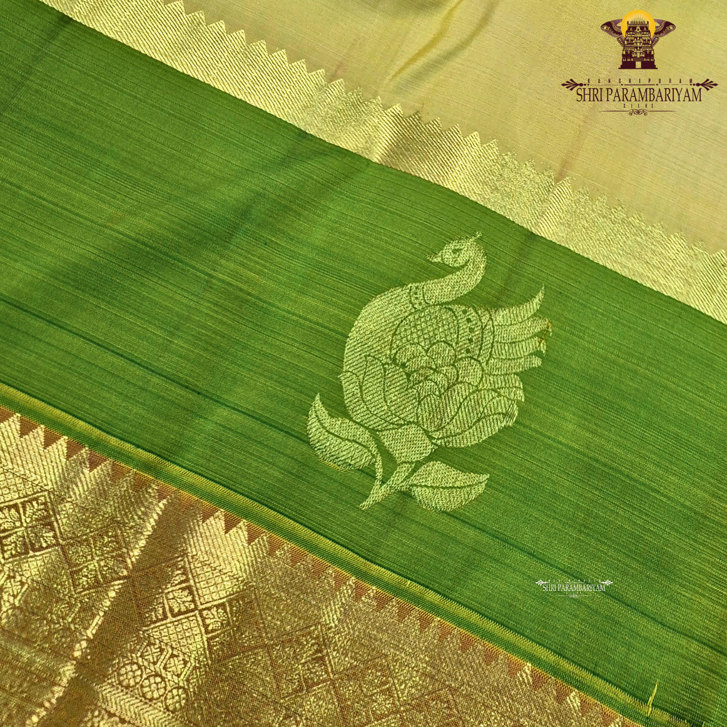 A pastel Yellow and Parrot Green with rich Gold Zari Saree