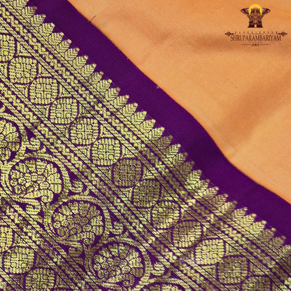 A soft and graceful peach body highlighted with traditional Saree