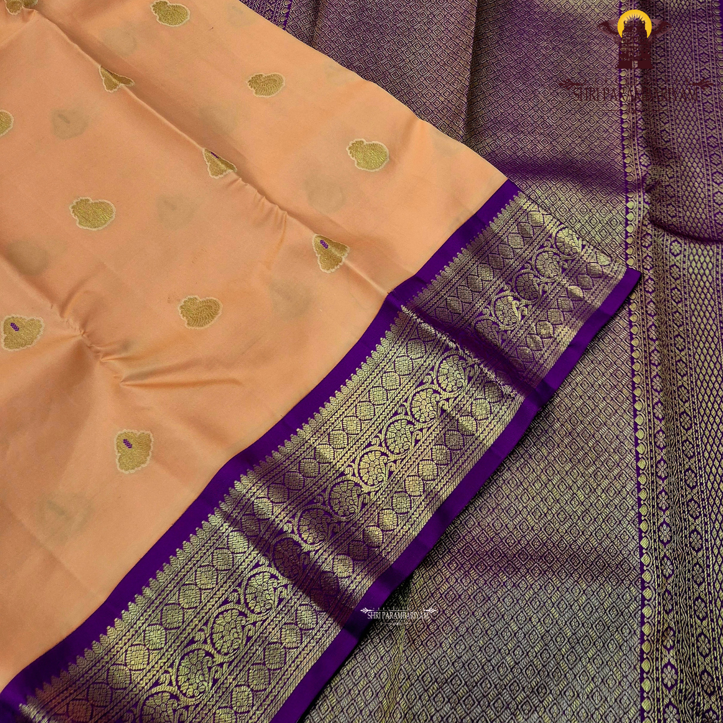 A soft and graceful peach body highlighted with traditional Saree