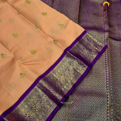 A soft and graceful peach body highlighted with traditional Saree