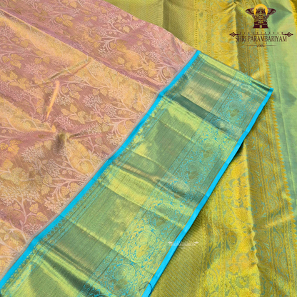 A soft peach / blush pink body paired with a contrasting aqua blue border Saree
