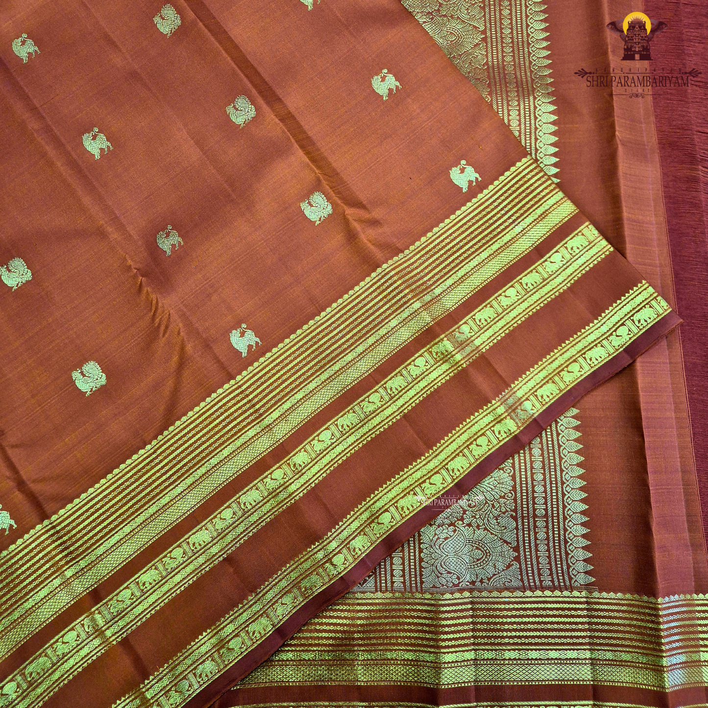 A rich Rust Orange / Burnt Copper Orange shade with an elegant golden zari Saree