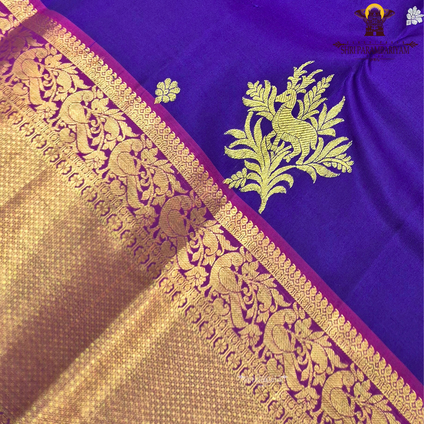 Rich Royal Purple (Violet) with a contrasting Pink border Saree