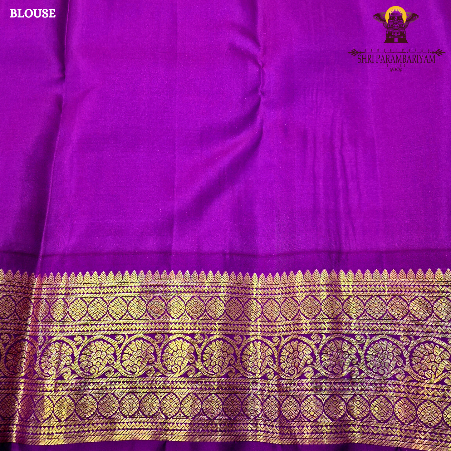 A soft and graceful peach body highlighted with traditional Saree