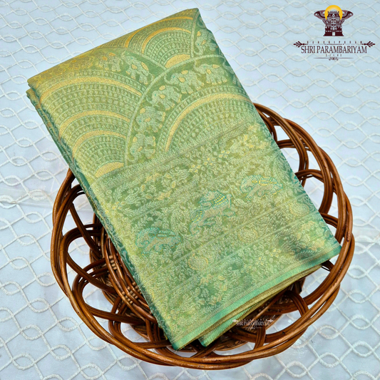 A refreshing leaf green / pastel green tissue base with a soft golden sheen Saree