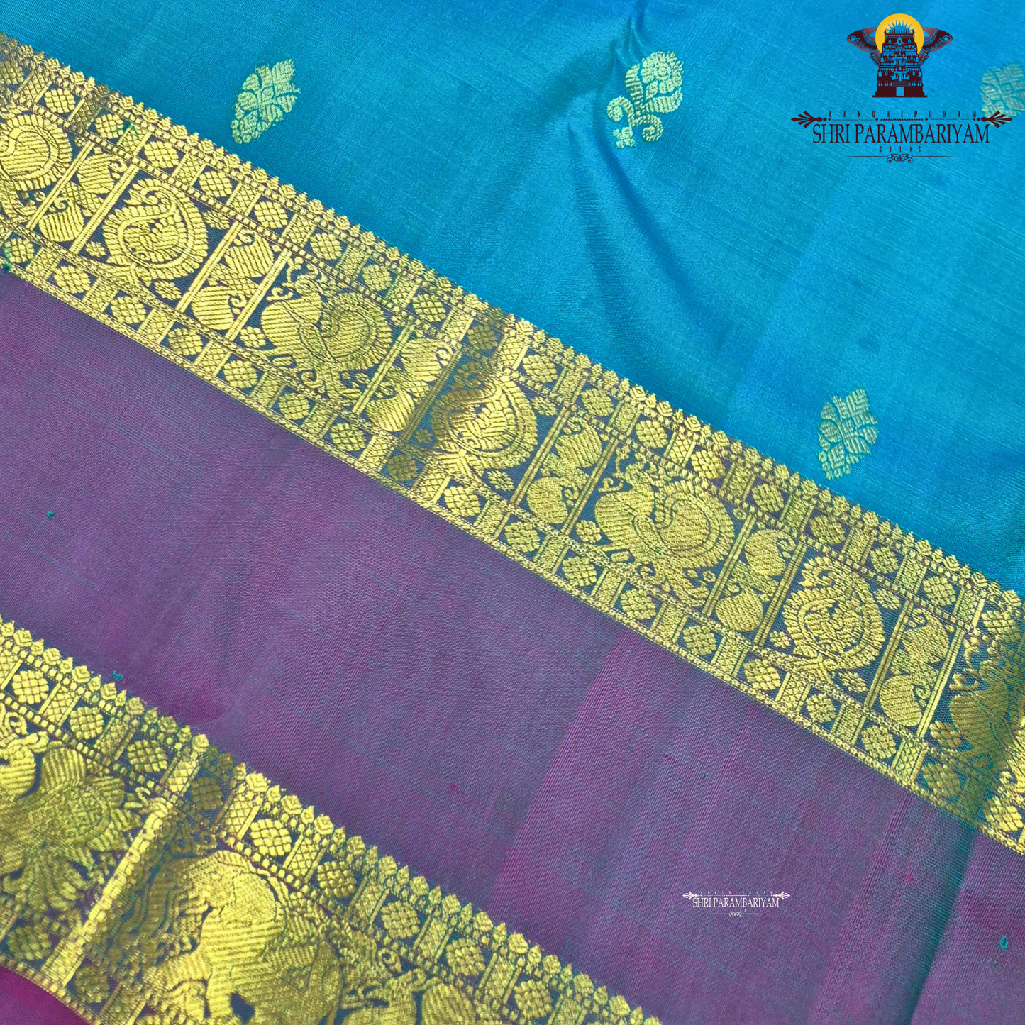 A turquoise Blue and Violet Purple with rich Gold Zari Saree