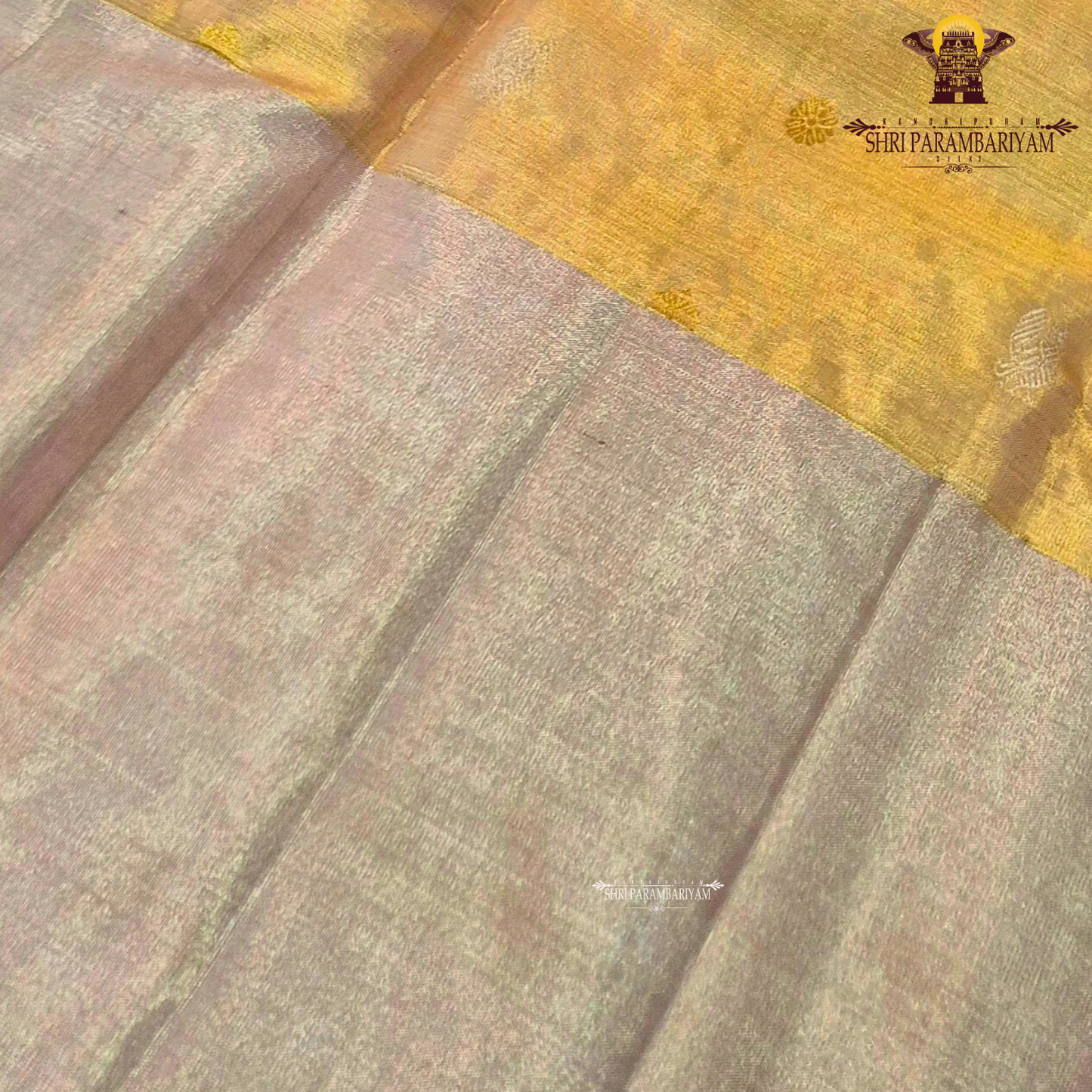 A delicate champagne gold with a subtle rose-gold tint Saree