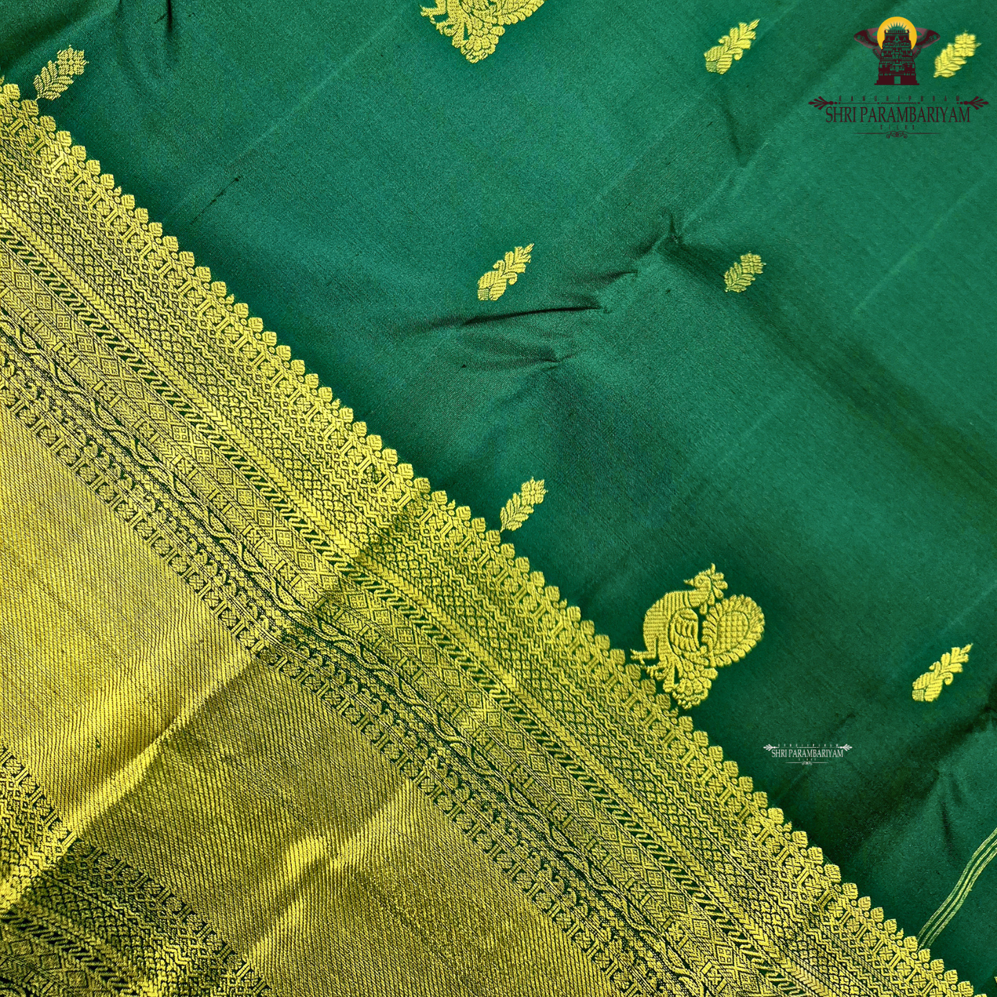 A captivating Deep Bottle Green / Dark Teal Green shade, beautifully complemented Saree