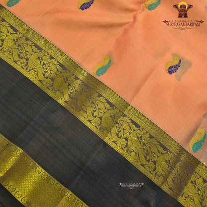 Soft Peach / Light Apricot Saree