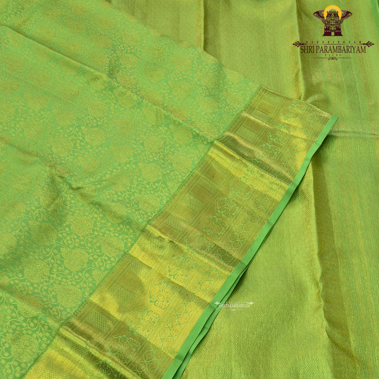 Refreshing parrot green shade with elegant self-gold zari Saree