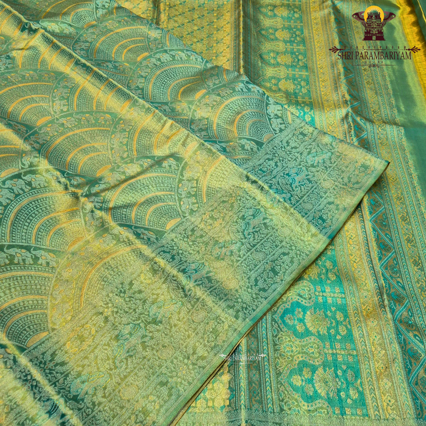 A refreshing leaf green / pastel green tissue base with a soft golden sheen Saree