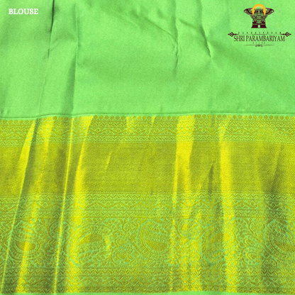 A beautiful rani pink and parrot green combination Saree