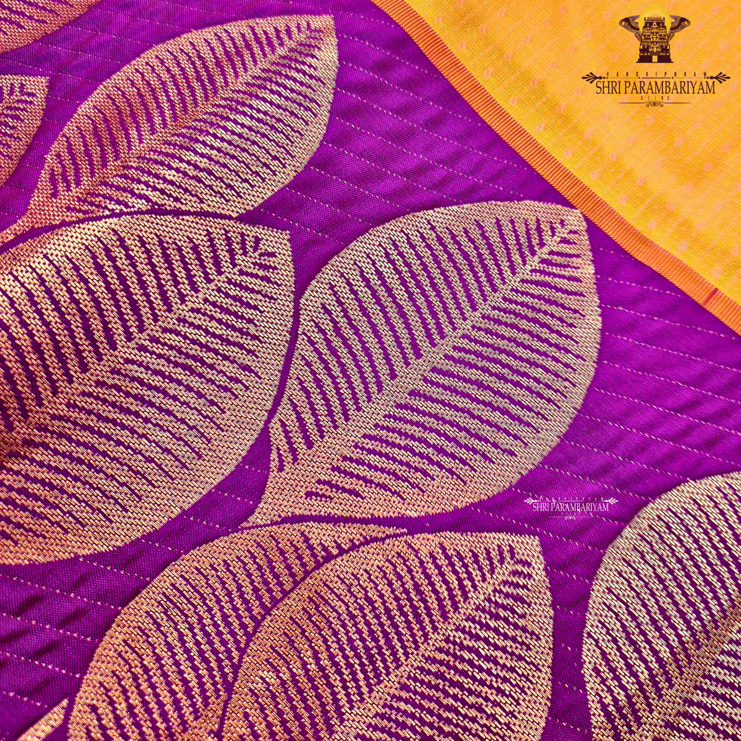 Mango Orange / Sunset Orange Saree