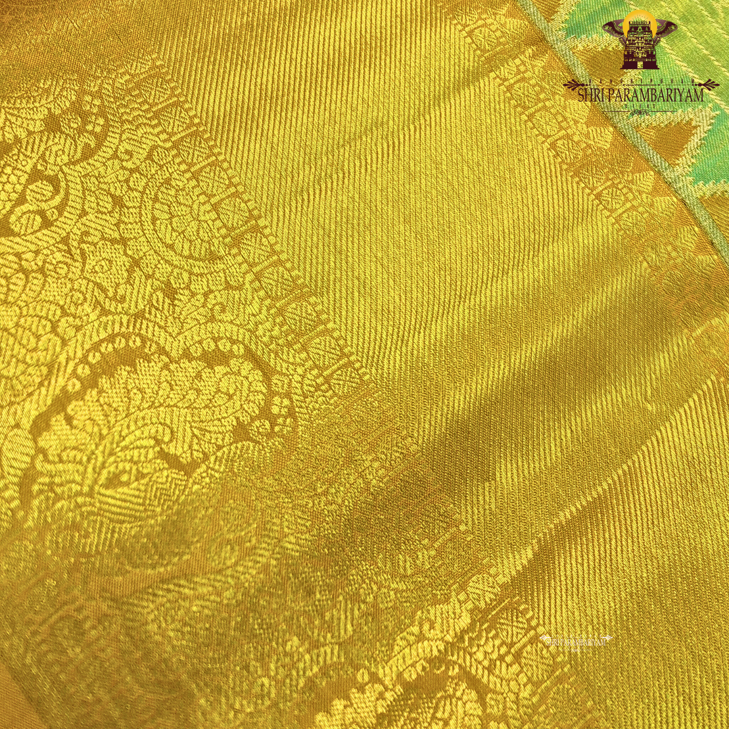 A fresh parrot green / leaf green with golden tissue sheen Saree