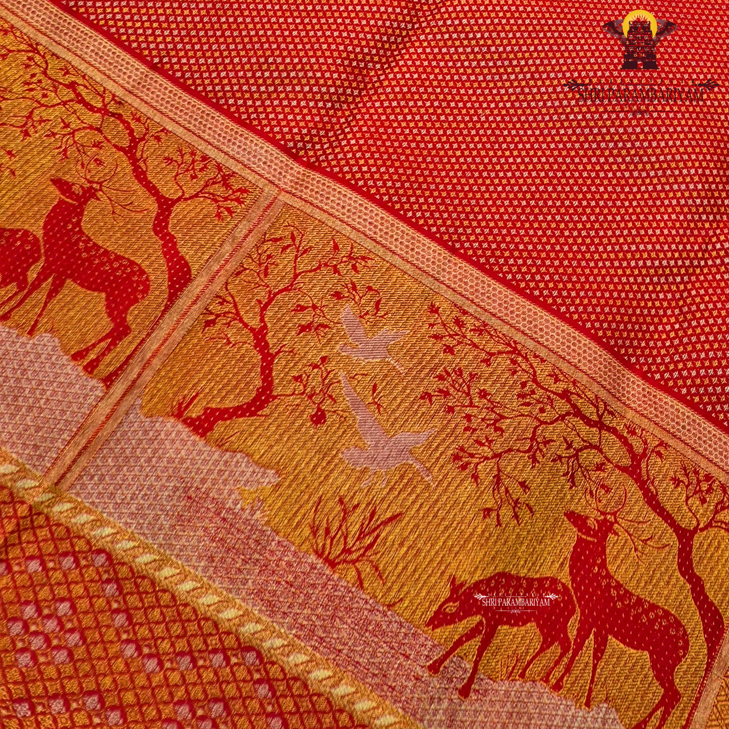 A vibrant bridal red color complemented by rich gold zari weaving Saree