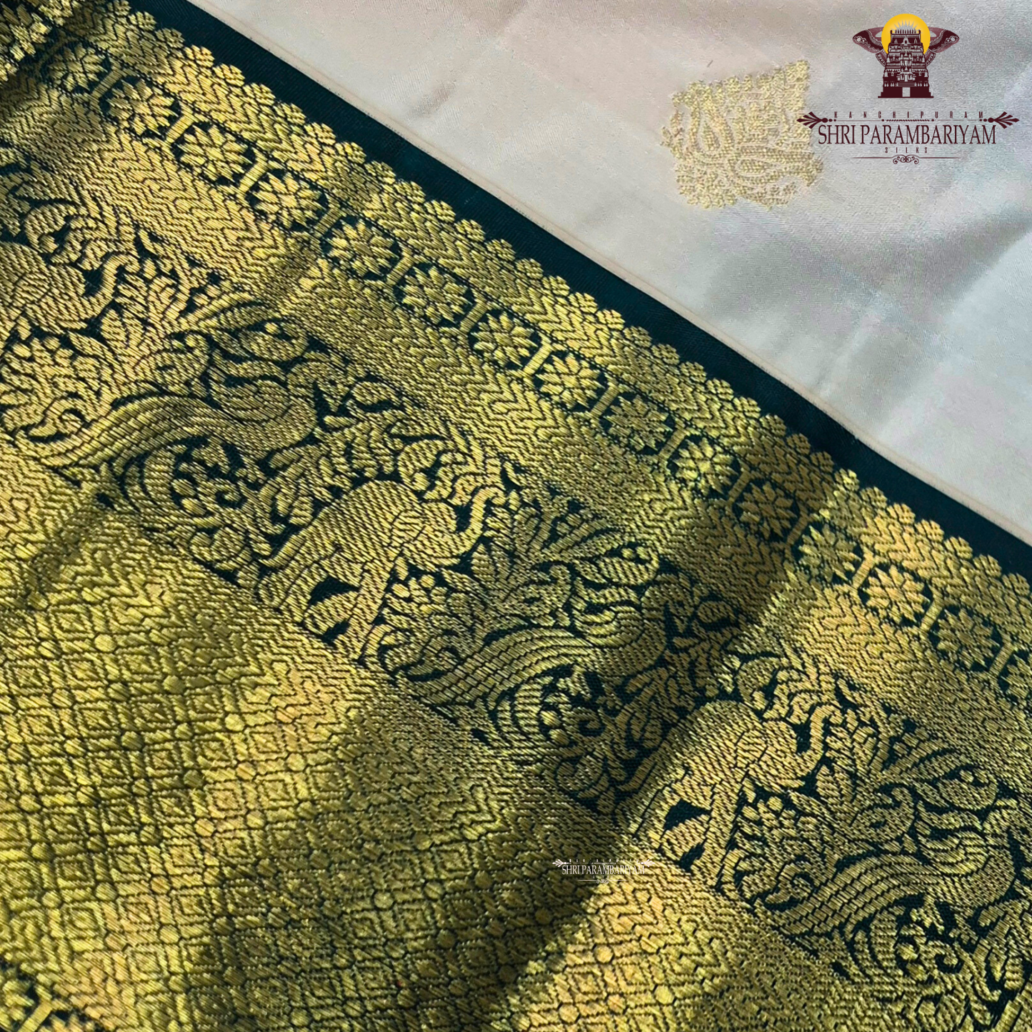 A soft and classic cream body adorned with a subtle Saree