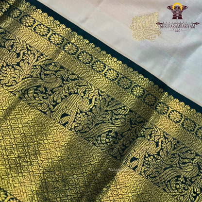 A soft and classic cream body adorned with a subtle Saree