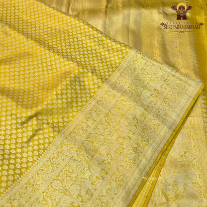A rich mustard yellow shade with golden tones, giving it a bright and traditional Saree