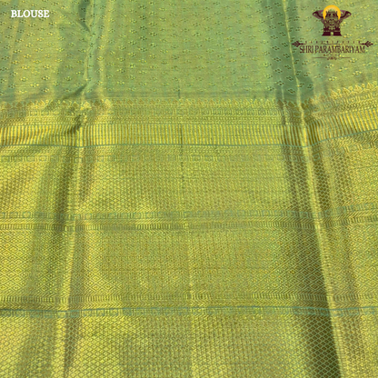 Elegant pastel pista green body with a subtle self-tone zari Saree