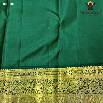 A soft and classic cream body adorned with a subtle Saree