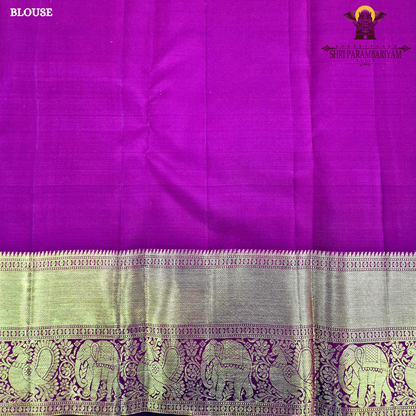 A rich dual-tone blend of deep peacock blue and violet (iridescent shade) body with a contrast Saree