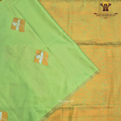 Soft pista green Saree