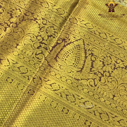 A rich antique gold body with a subtle dual-tone brown undertone Saree