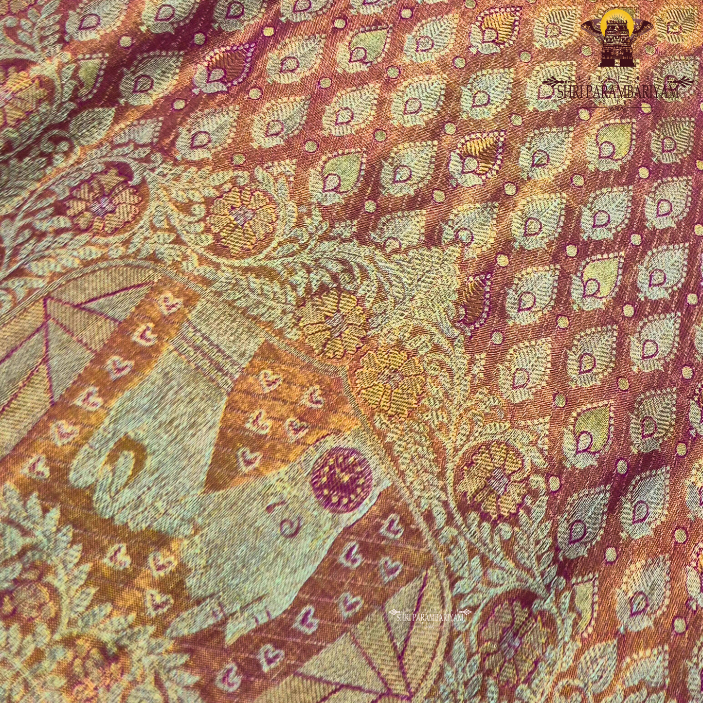 A shimmering copper-gold tissue base, giving the fabric a radiant and luxurious Saree