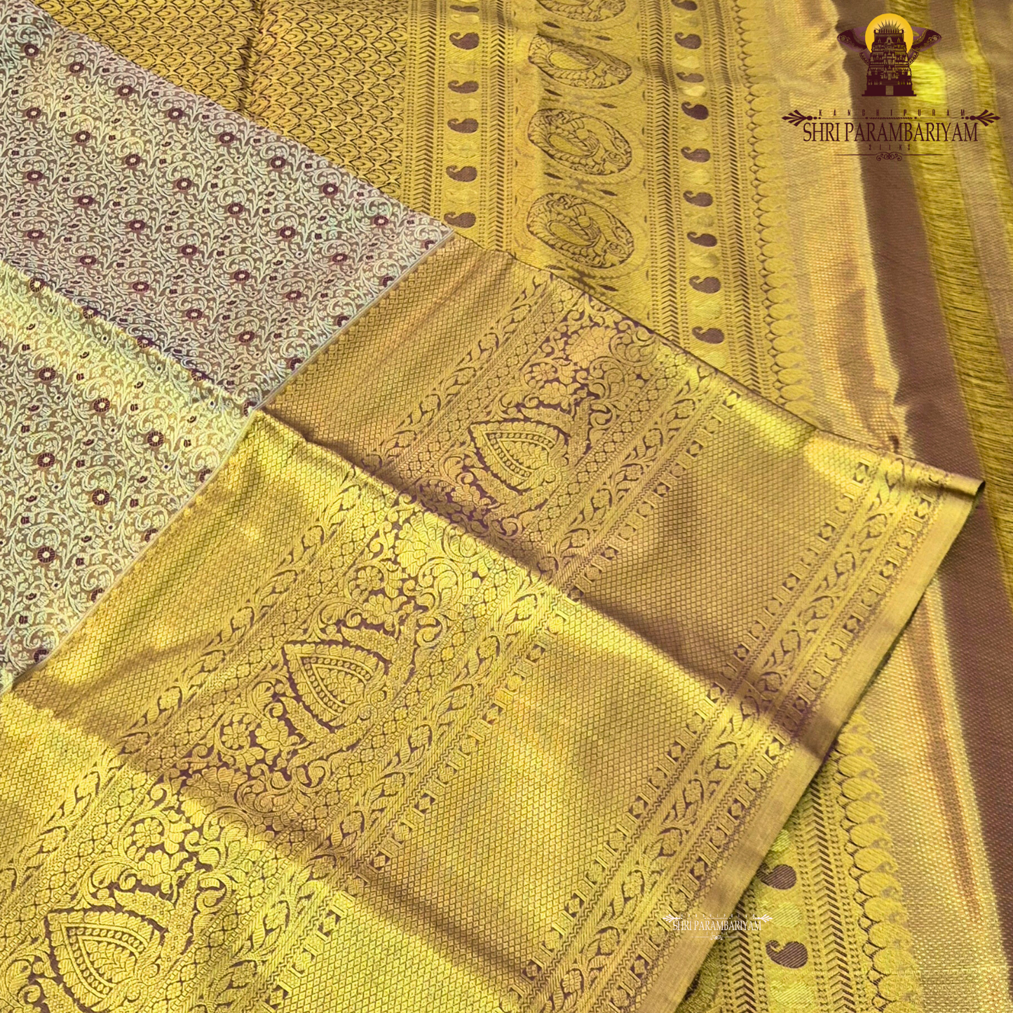 A rich antique gold body with a subtle dual-tone brown undertone Saree