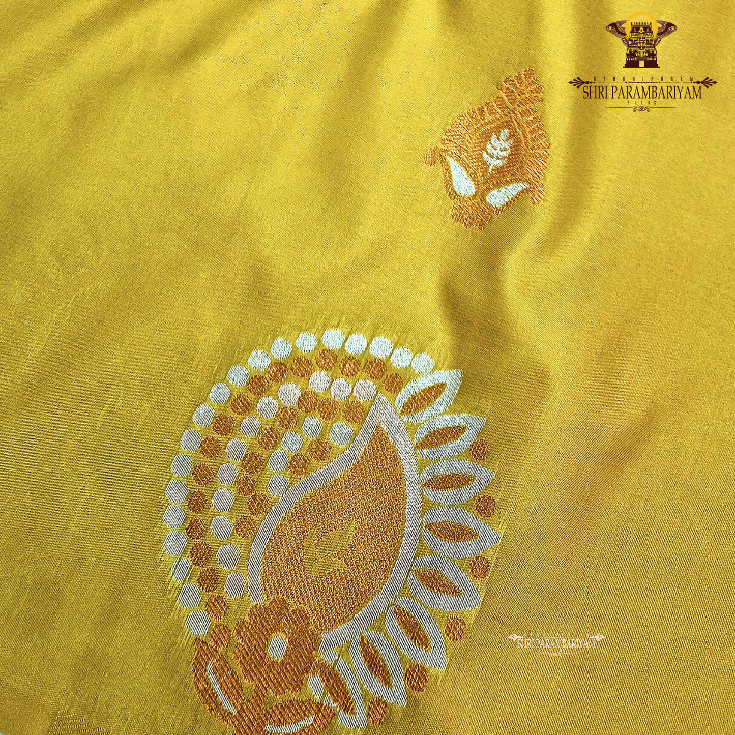 Rich mustard yellow / golden yellow Saree