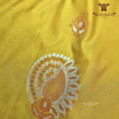 Rich mustard yellow / golden yellow Saree