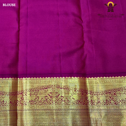 A bright and striking orange body adorned with a subtle Saree