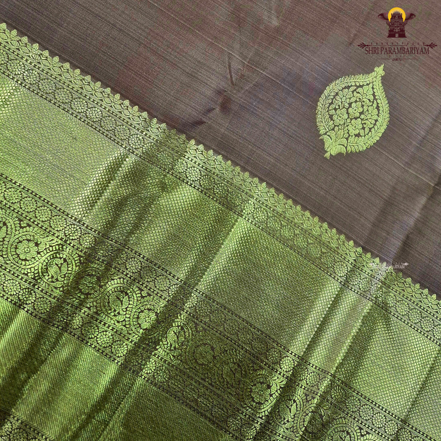 A sophisticated Antique Copper Brown / Golden Tan shade, beautifully enhanced with rich gold zari Saree