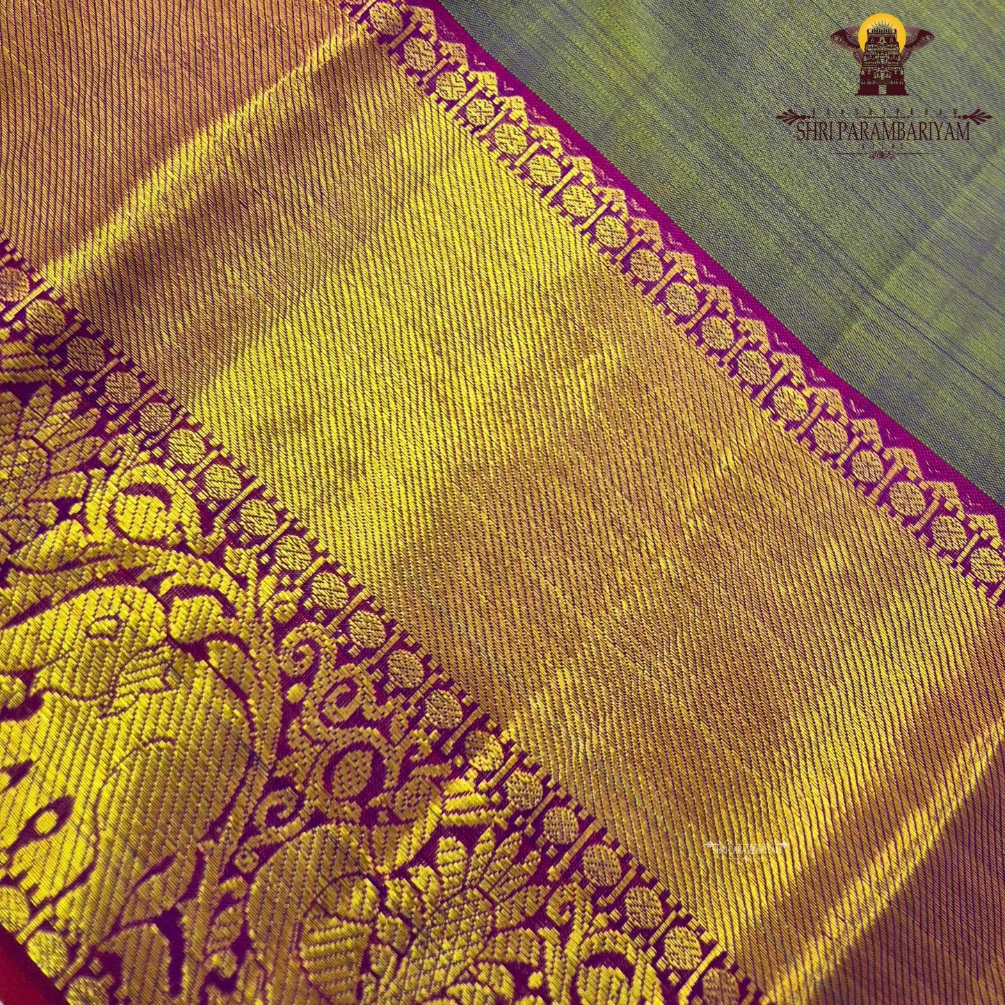 A subtle dual-tone olive green with a hint of gold sheen, paired with a contrast Saree