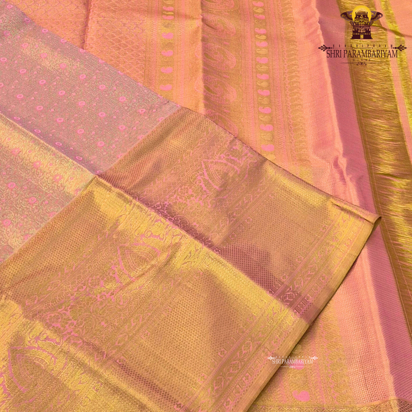 A rich golden tissue base with a soft peachy-pink undertone Saree
