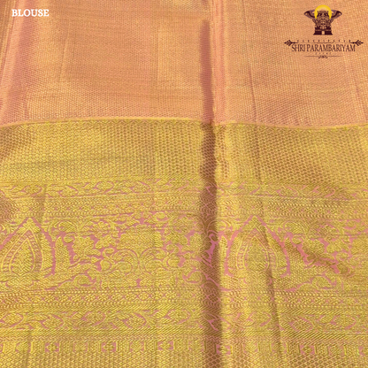 A rich golden tissue base with a soft peachy-pink undertone Saree