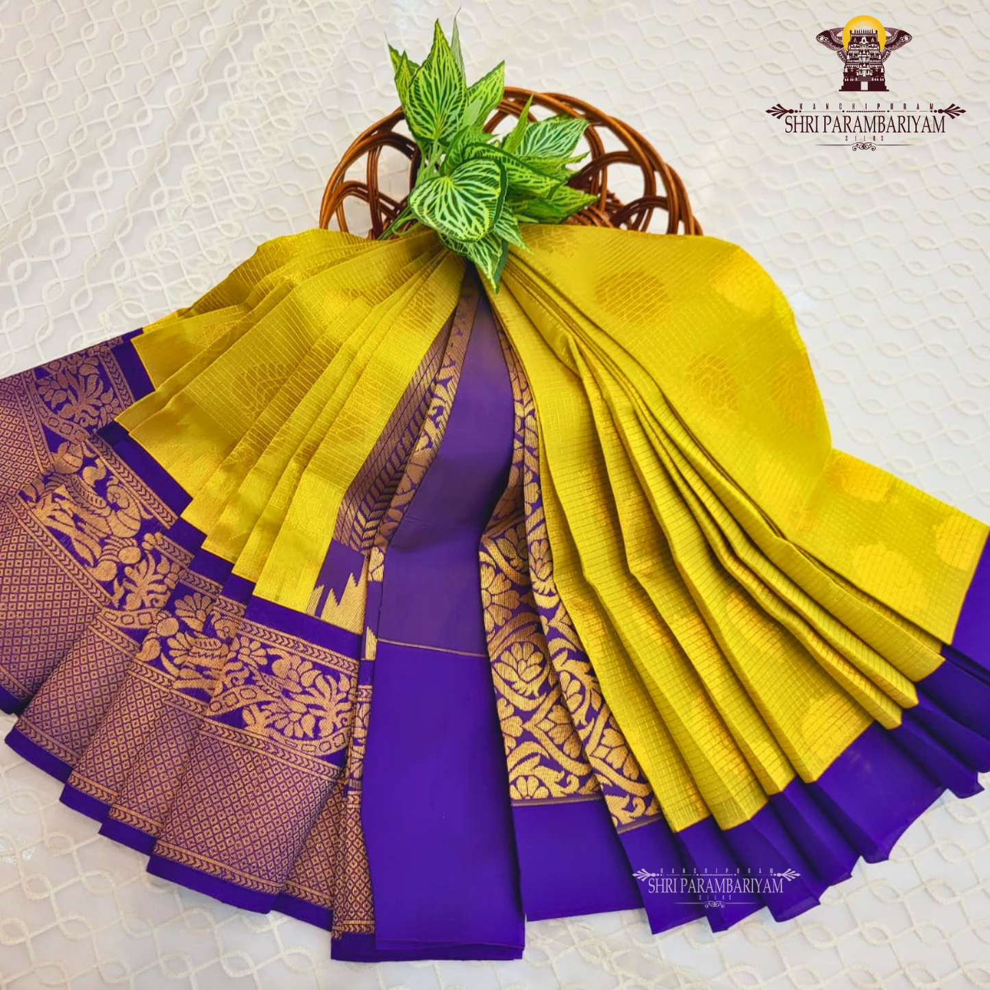 Mustard yellow (golden tone) Saree
